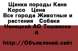 Щенки породы Кане-Корсо › Цена ­ 25 000 - Все города Животные и растения » Собаки   . Ненецкий АО,Тошвиска д.